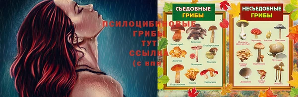 МДПВ Арсеньев