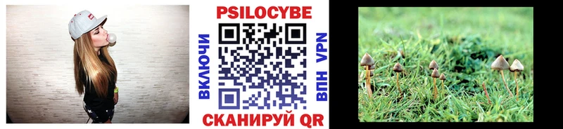 Галлюциногенные грибы Psilocybe  что такое   Олёкминск 